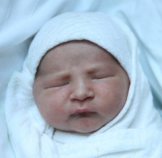 Mikołaj Wiśniewski