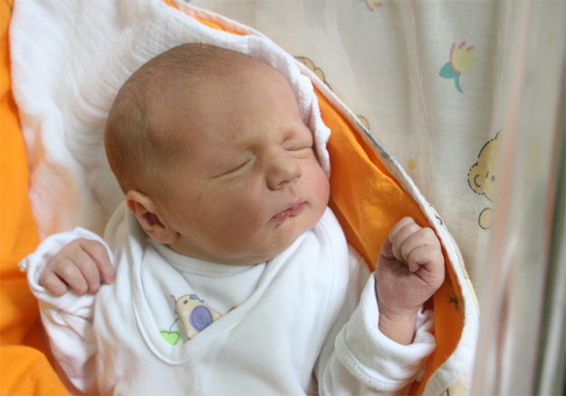 Miłosz Dobrowolski Miłosz Dobrowolski