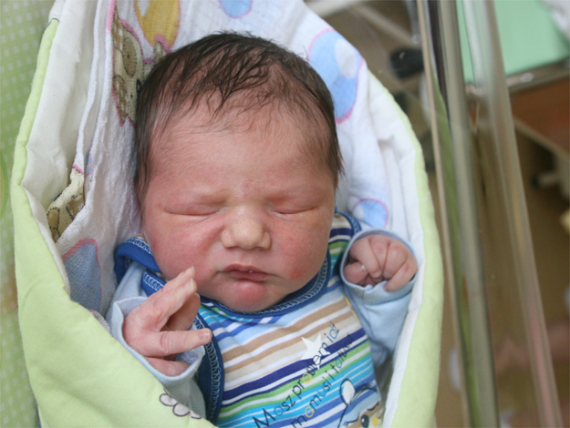 Paweł Kwiecie Paweł Kwiecie