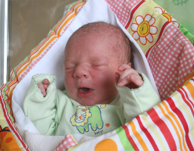 Cókra Małgorzaty i Jerzego Witkowskich Cókra Małgorzaty i Jerzego Witkowskich