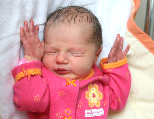 Julia Walaszczyk Julia Walaszczyk