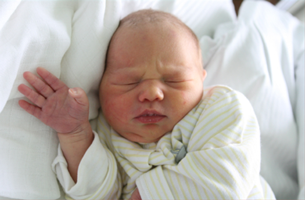 Maja Lipka Maja Lipka