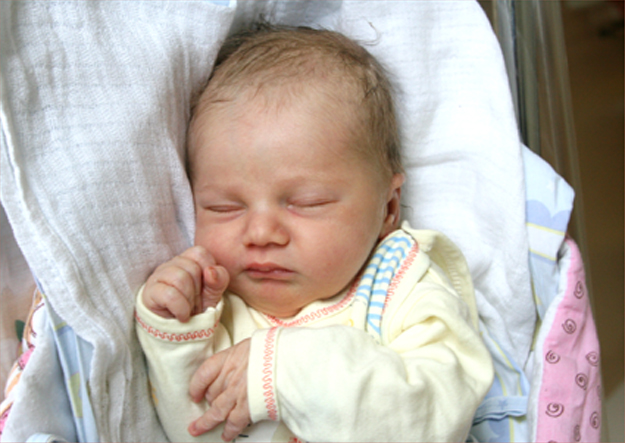 Michał Cybuch Michał Cybuch