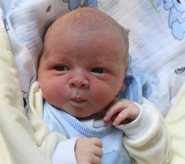 Kacperek Karas Kacperek Karas