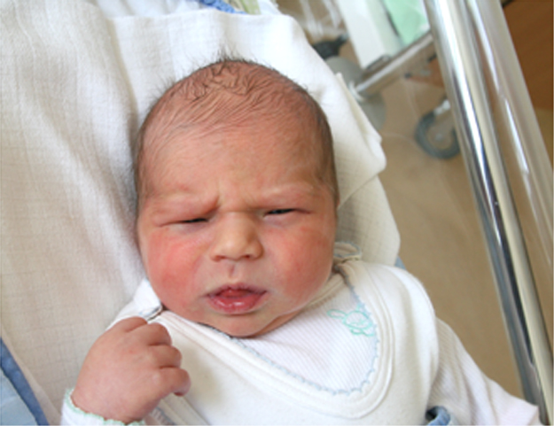 Igor Bednarek Igor Bednarek