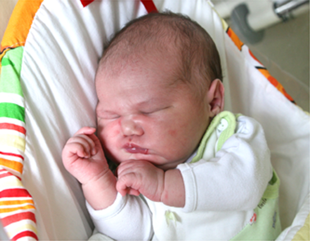 Julia Puszka Julia Puszka