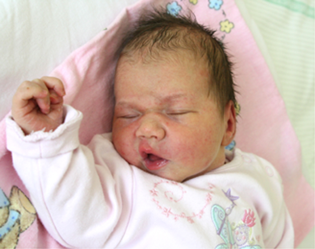 Maja Szczodra Maja Szczodra