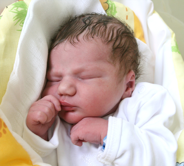 Syn Karoliny i Damiana Madalskich