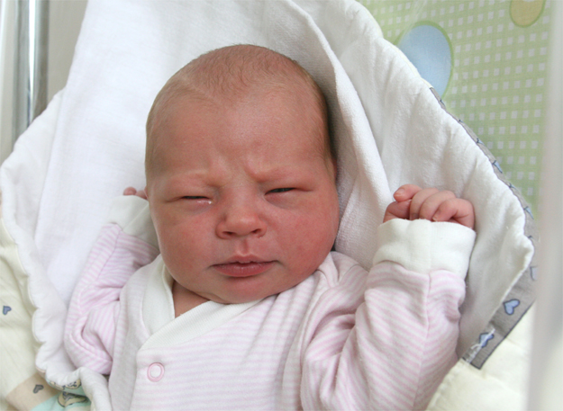 Cókra Anety i Marka Bocharów