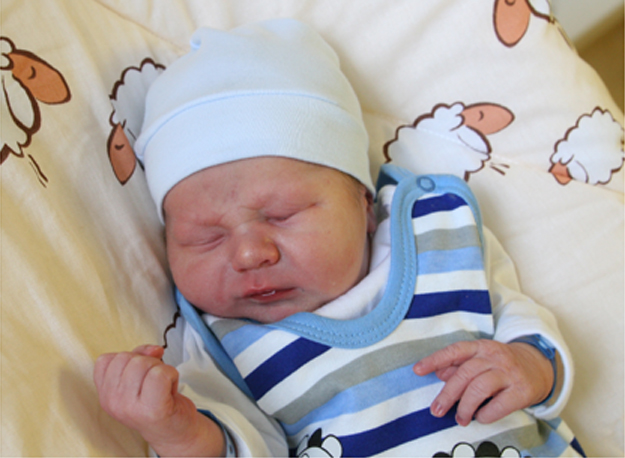 Antek Wójcicki Antek Wójcicki