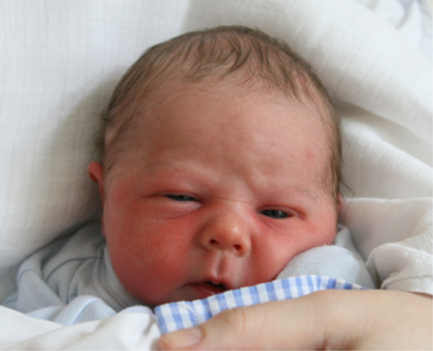 Maksio Skórkiewicz Maksio Skórkiewicz