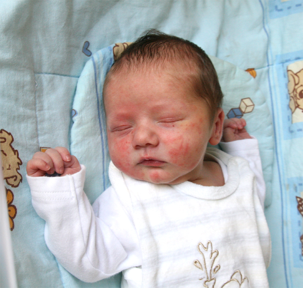 Syn Sylwii i Hubera Habasów Syn Sylwii i Hubera Habasów