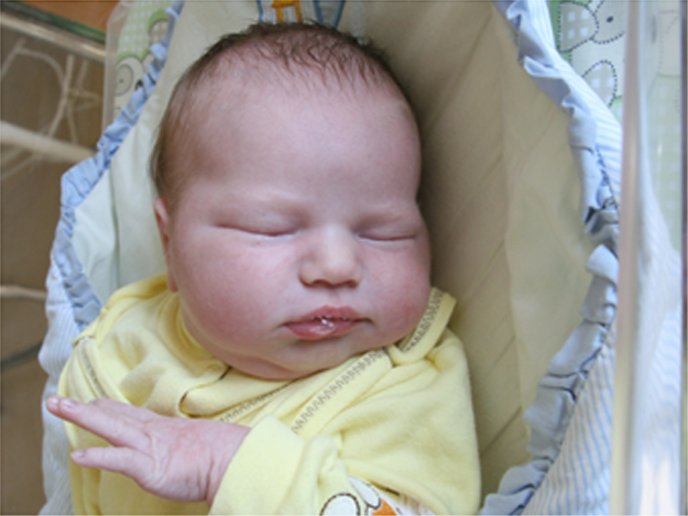 Iga Fiołna Iga Fiołna