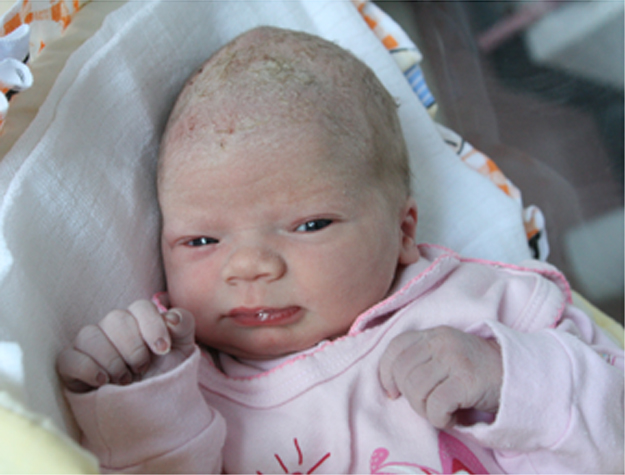 Amelka Janicka Amelka Janicka