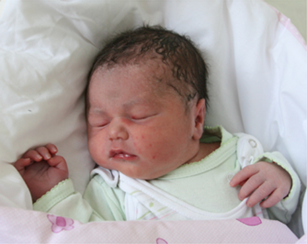 Zosia Górnik Zosia Górnik