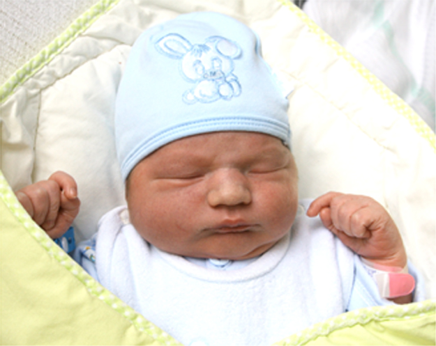 Jaś Niedziałek Jaś Niedziałek