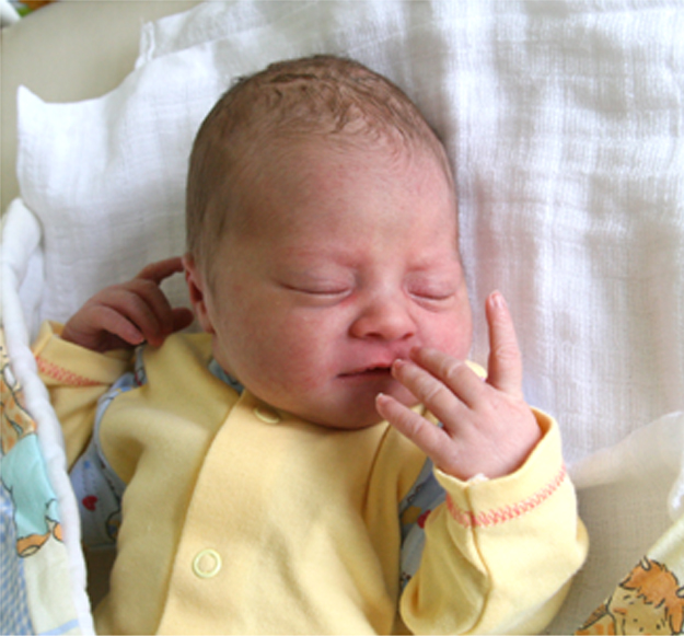 Maria Wójcik Maria Wójcik