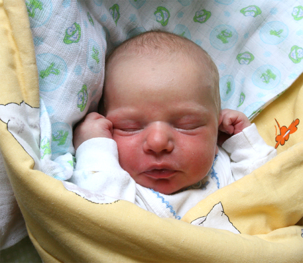 Dominik Poński Dominik Poński