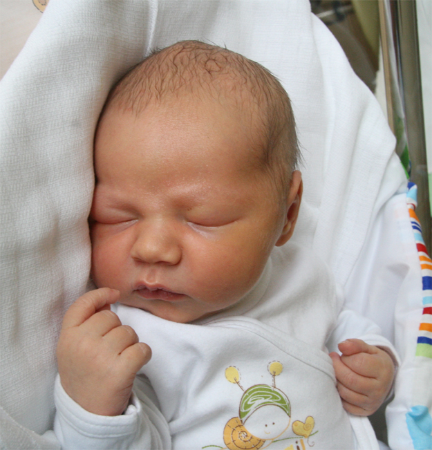 Kubuś Derlatka Kubuś Derlatka