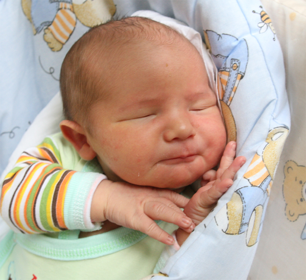 Alan Hetman Alan Hetman