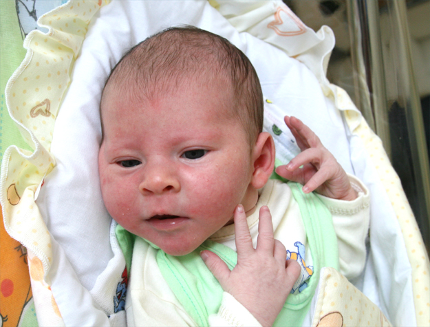 Wiktoria Dawidowska Wiktoria Dawidowska