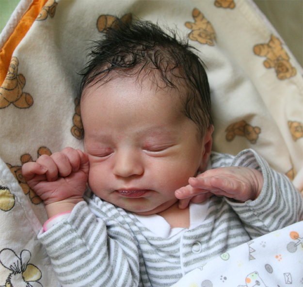 Dymitriusz Kłosiewicz