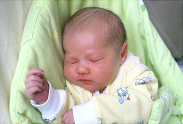 Julia Rotenstein Julia Rotenstein