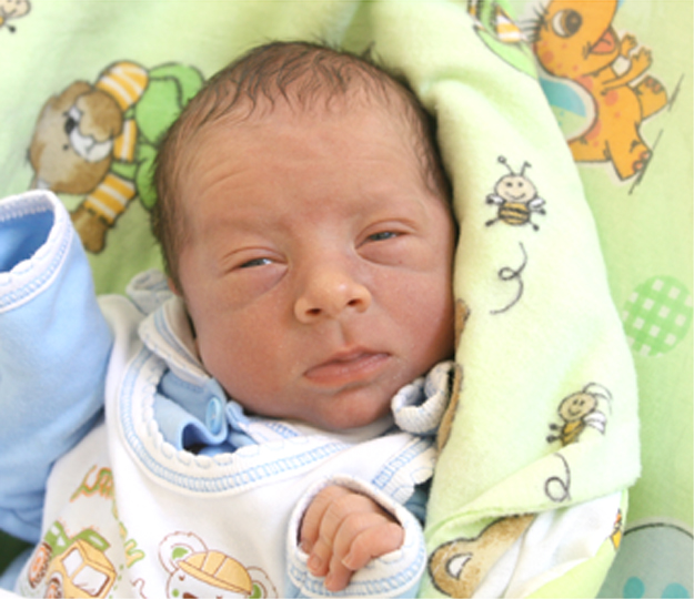 Marcel Gwizd Marcel Gwizd