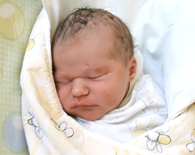 Syn Państwa Anety i Piotra Sekułów Syn Państwa Anety i Piotra Sekułów