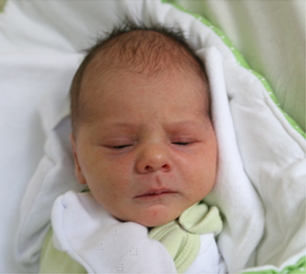 Zuzia Chrząszcz Zuzia Chrząszcz