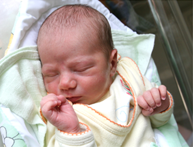 Filip Węgrzynowski Filip Węgrzynowski