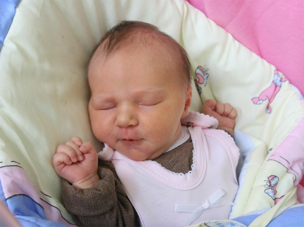 Nikola Grzywaczewska