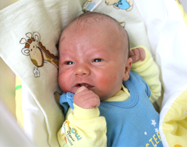 Oskar Małek Oskar Małek