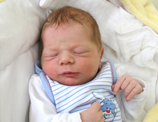 Franuś Kot Franuś Kot