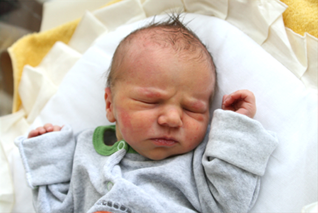 Daniel Kulik Daniel Kulik