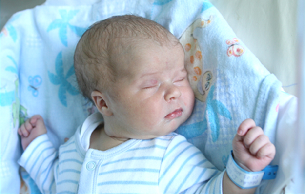 Julia Pawlak Julia Pawlak