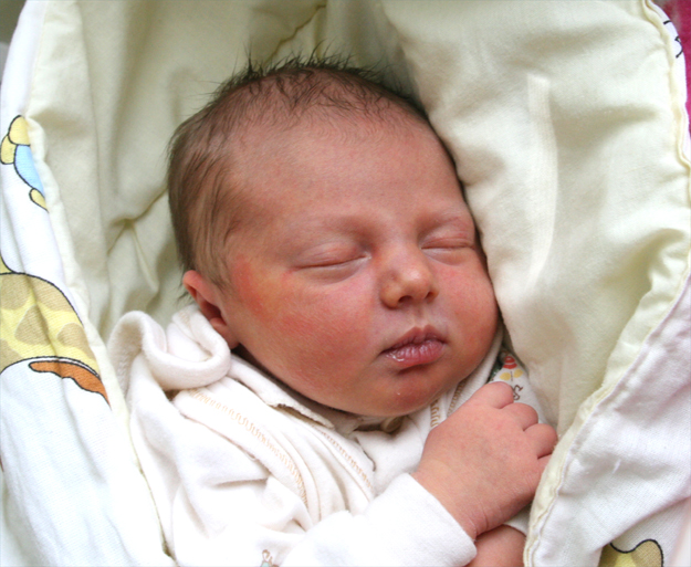 Maja Gębka Maja Gębka