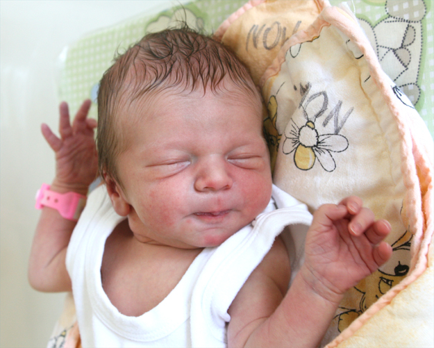 Ksawery Kardynał Ksawery Kardynał