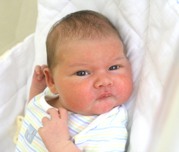 Alan Sułecki Alan Sułecki