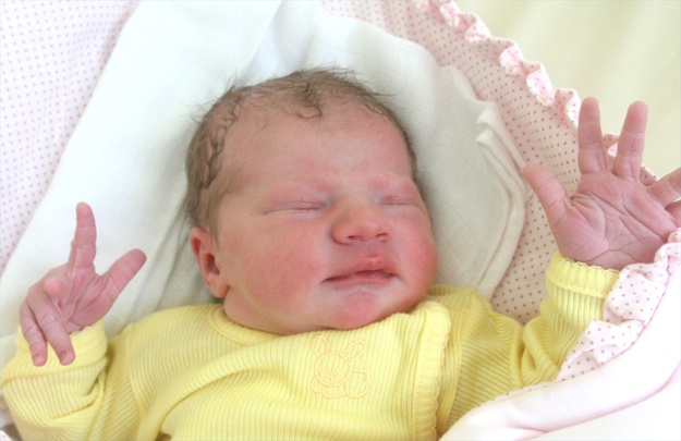 Cókra Magdaleny i Łukasza Witkowskich Cókra Magdaleny i Łukasza Witkowskich