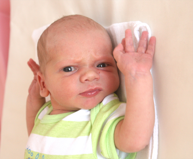 Krzysio Krukowski Krzysio Krukowski