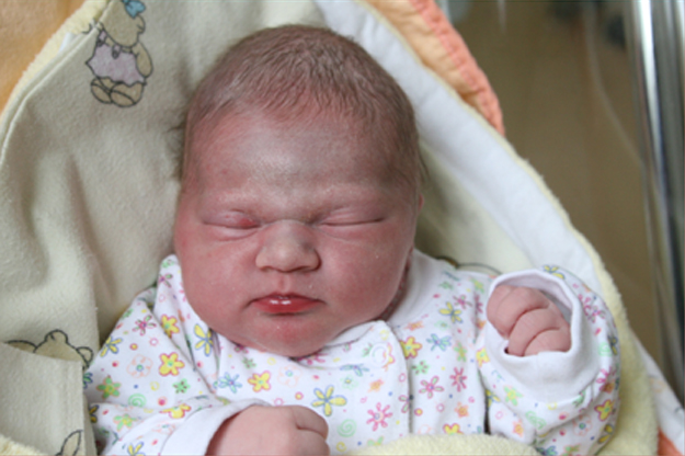 Oliwka Romanowska Oliwka Romanowska