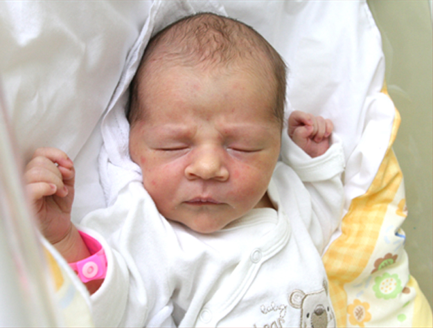 Bartuś Powideł Bartuś Powideł