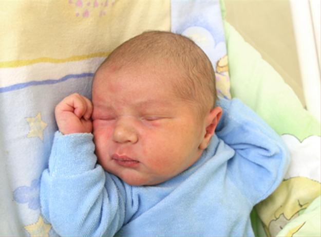 Arek Dolega Arek Dolega