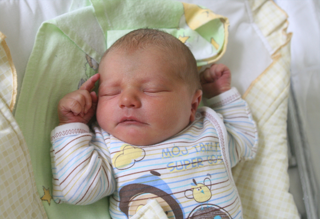 Dawid Sałek Dawid Sałek