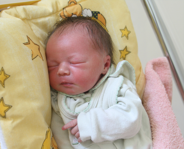 Cókra Elwiry i Tomasza Wróblów Cókra Elwiry i Tomasza Wróblów