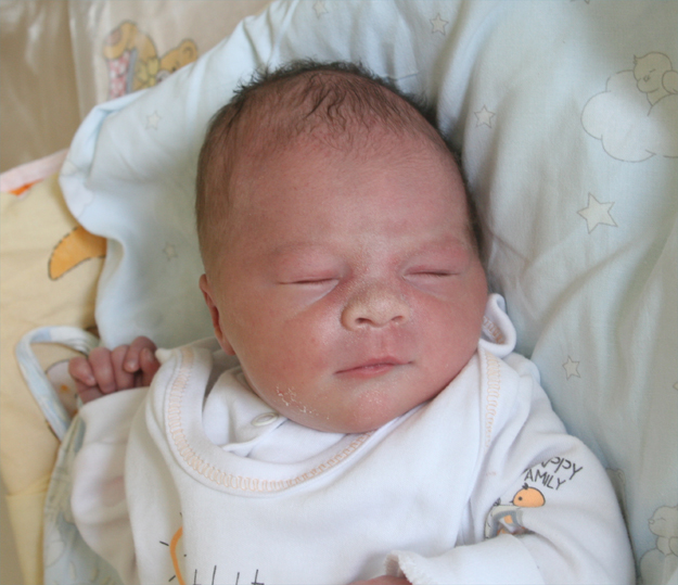 Mikołaj Norek Mikołaj Norek