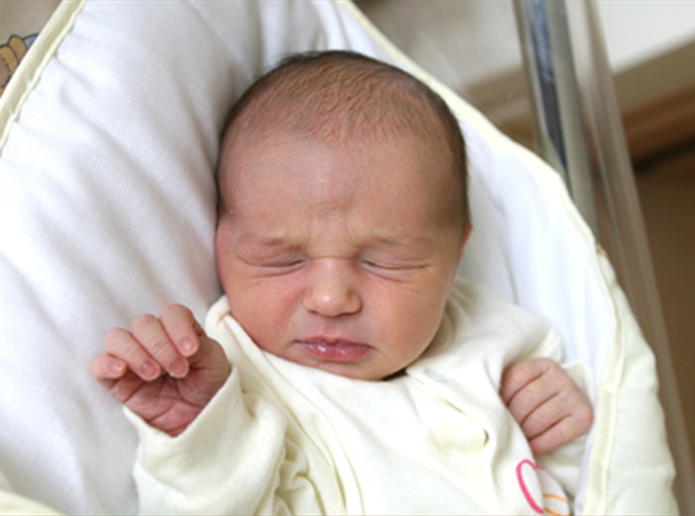 Alicja Wójcik Alicja Wójcik