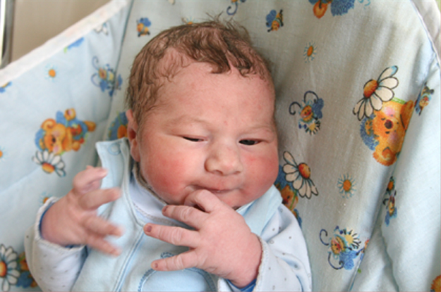 Maciuś Nowacki Maciuś Nowacki