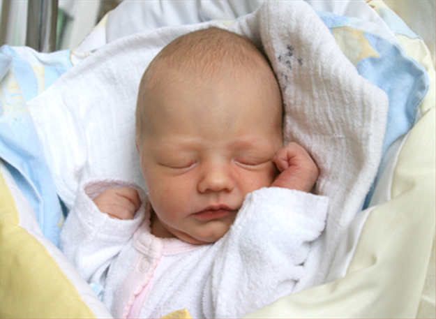 Zuzia Trybulska Zuzia Trybulska